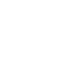 Analytics & Reporting