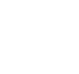 Audits & Assessments