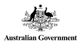 Voluntary AI Safety Standard