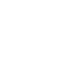 Cybersecurity Capability Maturity Model (C2M2) Version 2.0