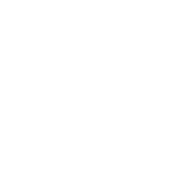 COBIT 5.0