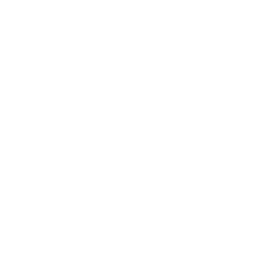 European Union Artificial Intelligence Act