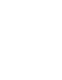 Issues & Incidents