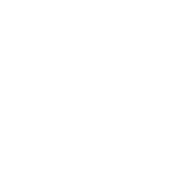 Queensland Information Security Policy (IS18:2018)