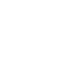 UAE Information Assurance (IA) Assessment