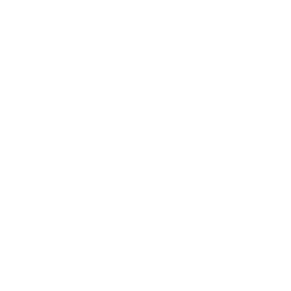VPDSS Question Set: Victorian Data Security Standards
