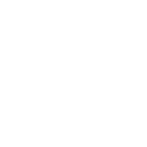 SA Cyber Security Framework (CSF)