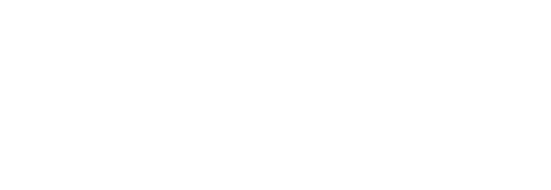 Cyber Hub