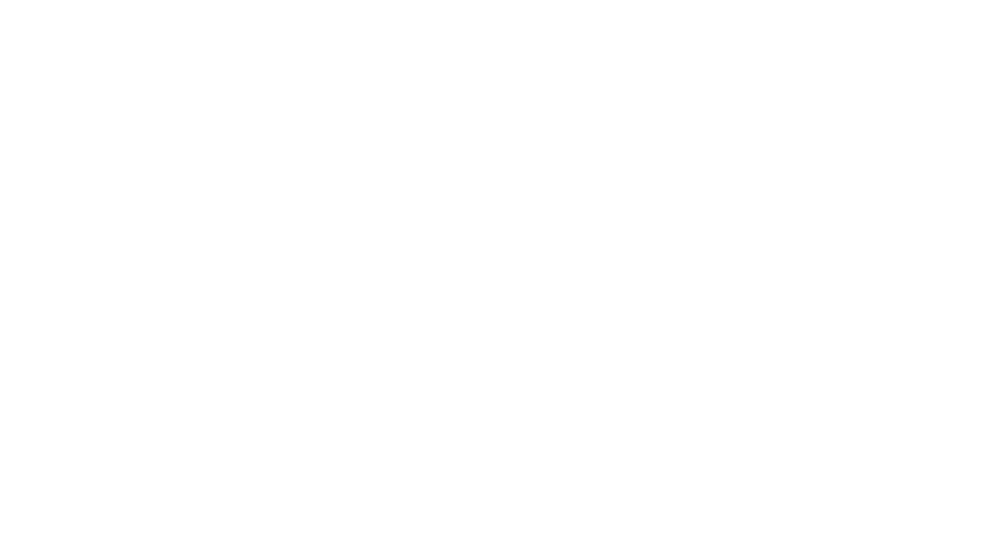 Global Security Experts Inc.